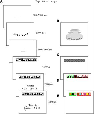 Subjective Beliefs About Trust and Reciprocity Activate an Expected Reward Signal in the Ventral Striatum